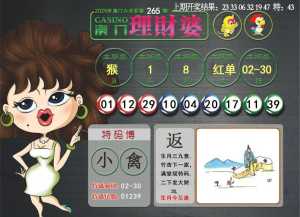 澳门理财婆