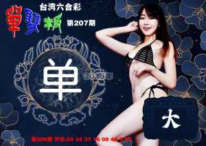 单双报