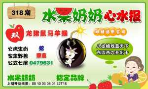 水果心水报
