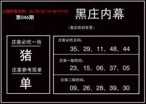 黑庄内幕