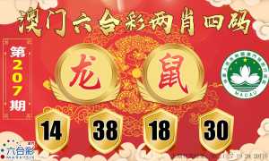 六合两肖四码