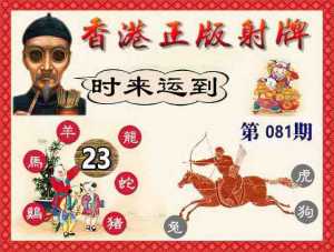 香港正版射牌