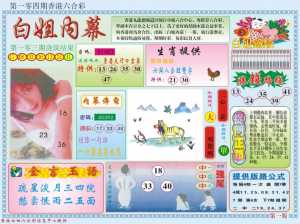 白小姐内幕A
