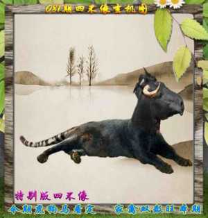 四不像特别版