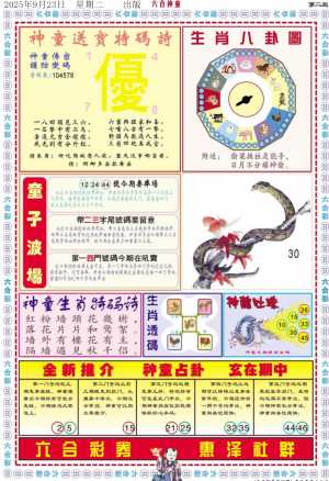 六合神童B