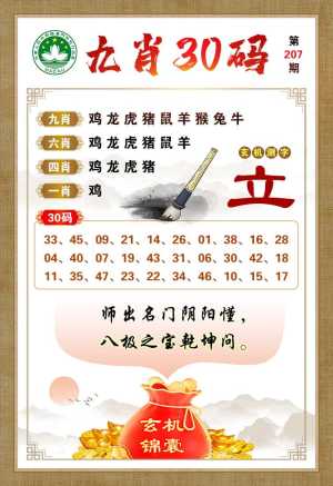 九肖30码