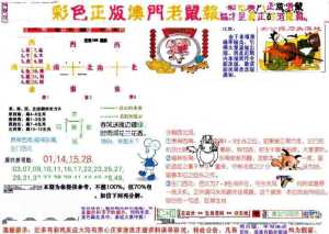 彩色正版澳门老鼠报