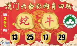 六合两肖四码