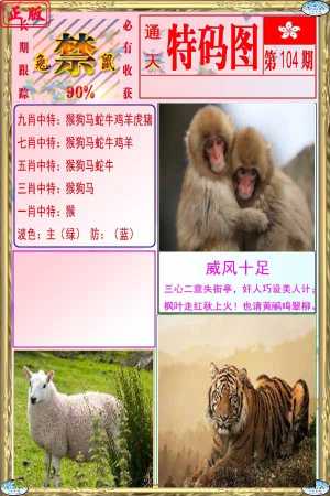 特码图