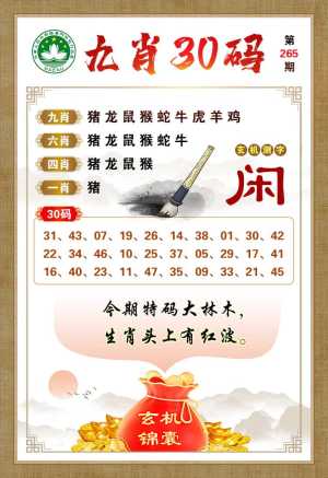 九肖30码