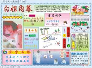 白小姐内幕A