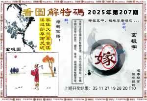 看图解特码