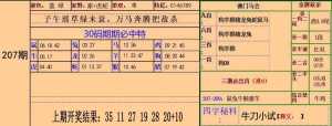 30码中特