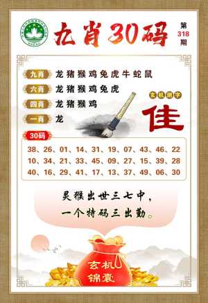 九肖30码