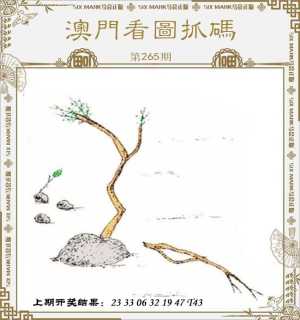 澳门看图抓码