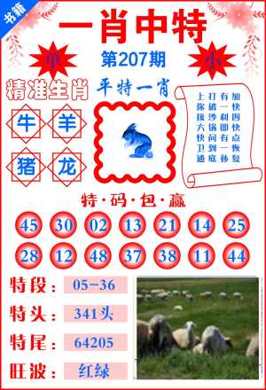 澳门六合风水