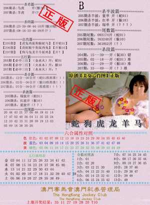 通缉令B版