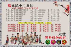 金陵十二金叉