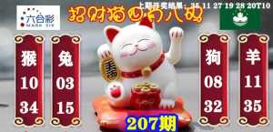 招财猫四肖八码