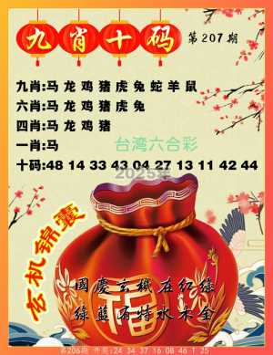 九肖十码