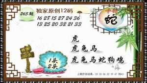 12码特图