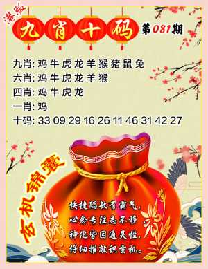 九肖十码